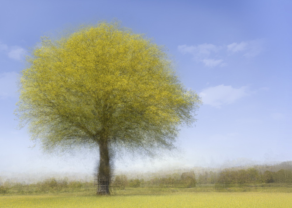 Platz 9 Daniela Korn